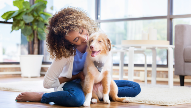 New Year, New Pet: Tips for Puppy Proofing Your Home