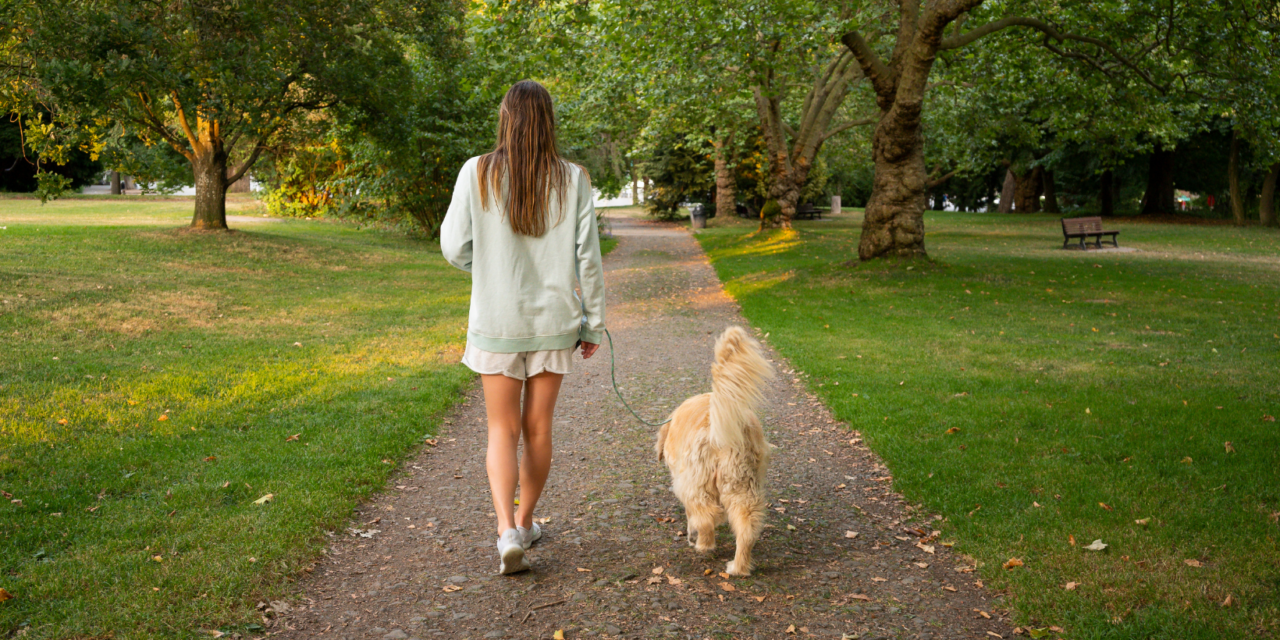 https://www.petsagogo.com/wp/wp-content/uploads/2022/04/PGG-Blog-Post-Pics-6-1280x640.png