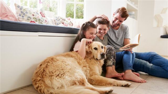 Happy American Family Day: A Guide to Choosing the Right Pet for Your Household