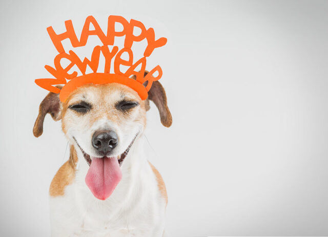5 New Years Resolutions for You and Your Pup